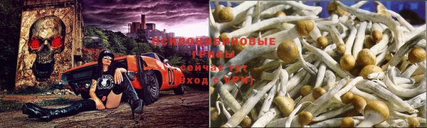 первитин Гусиноозёрск